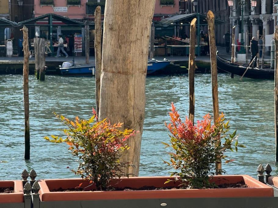 Grand Canal Diamond Apartment Venedig