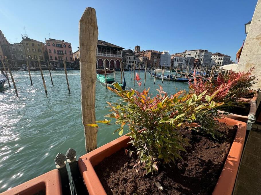 Apartment Grand Canal Diamond Venice